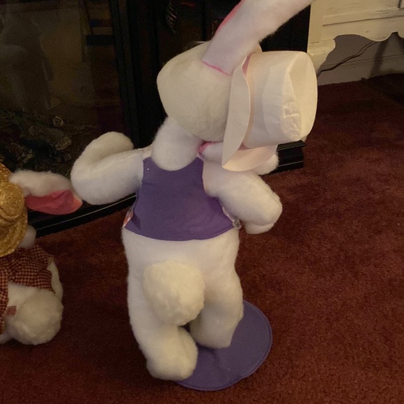 Annalei rabbits - Picture 7 of 8